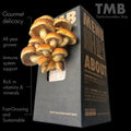 Chestnut Mushroom Box