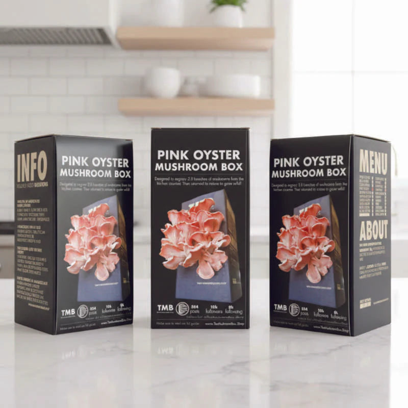 Pink Oyster Mushroom Box